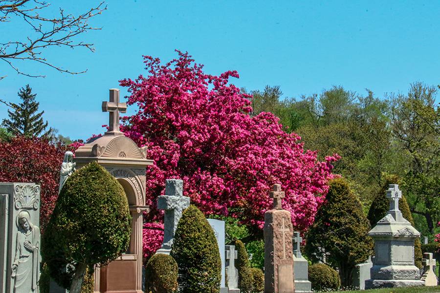 Mount Hope Catholic Cemetery, Toronto Catholic Cemeteries & Funeral