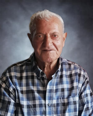 Eliseo Nalli