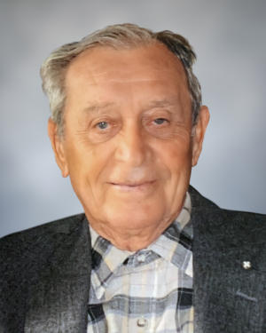 Stephen P. Bacsalmasi