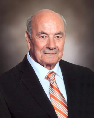 Vincenzo Alonzi