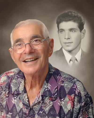 Domenico Marotta