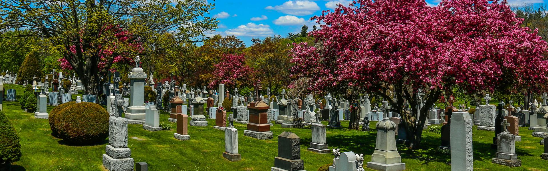 Catholic Cemeteries Logo