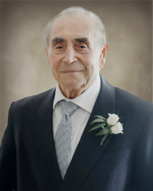 Domenico Petrucci