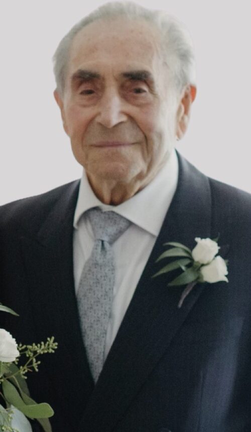 Domenico Petrucci