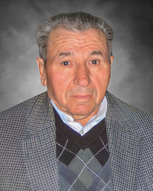 Domenico Fantauzzi