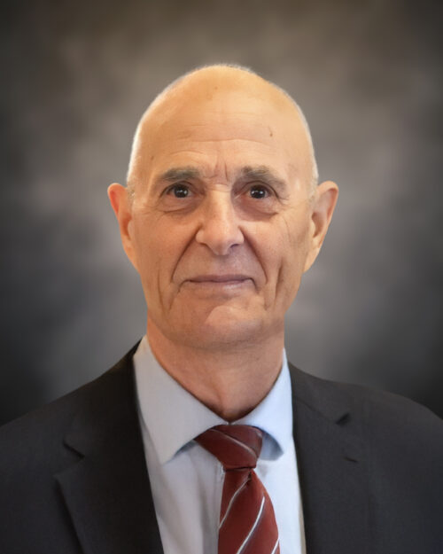 Michele D’Amico