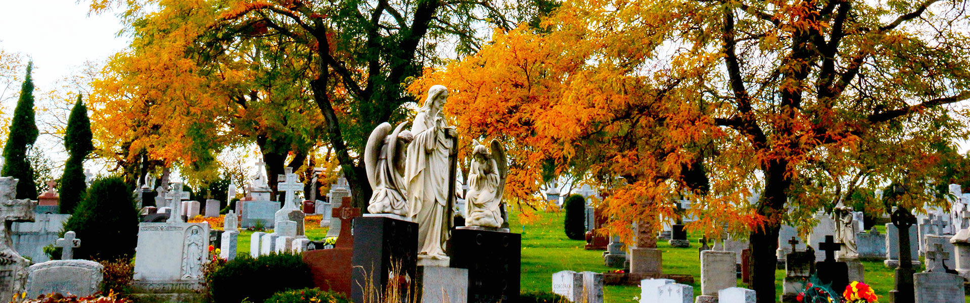 Catholic Cemeteries Logo
