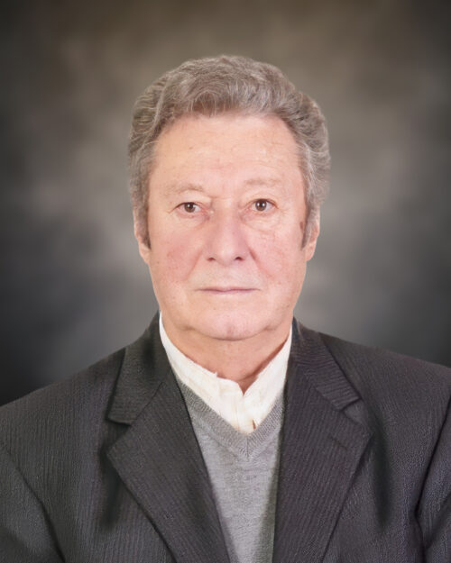 Joaquim Antonio Silva