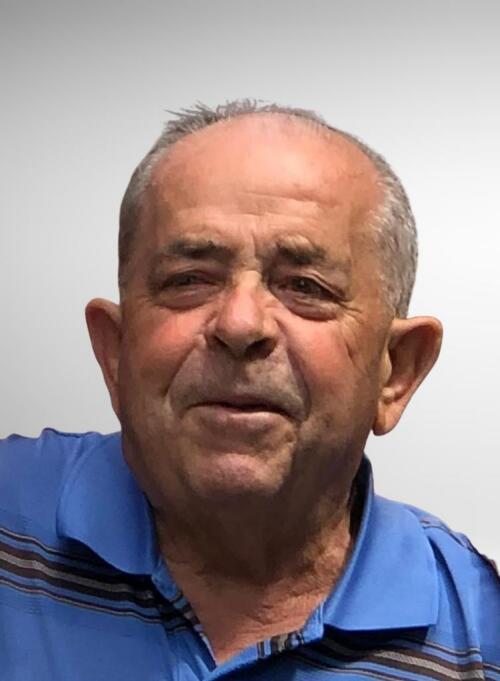 Vito Antonio Palandra