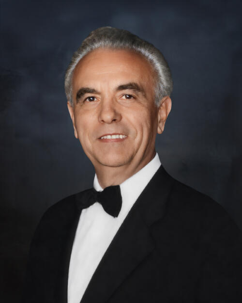Vincenzo D’Elia